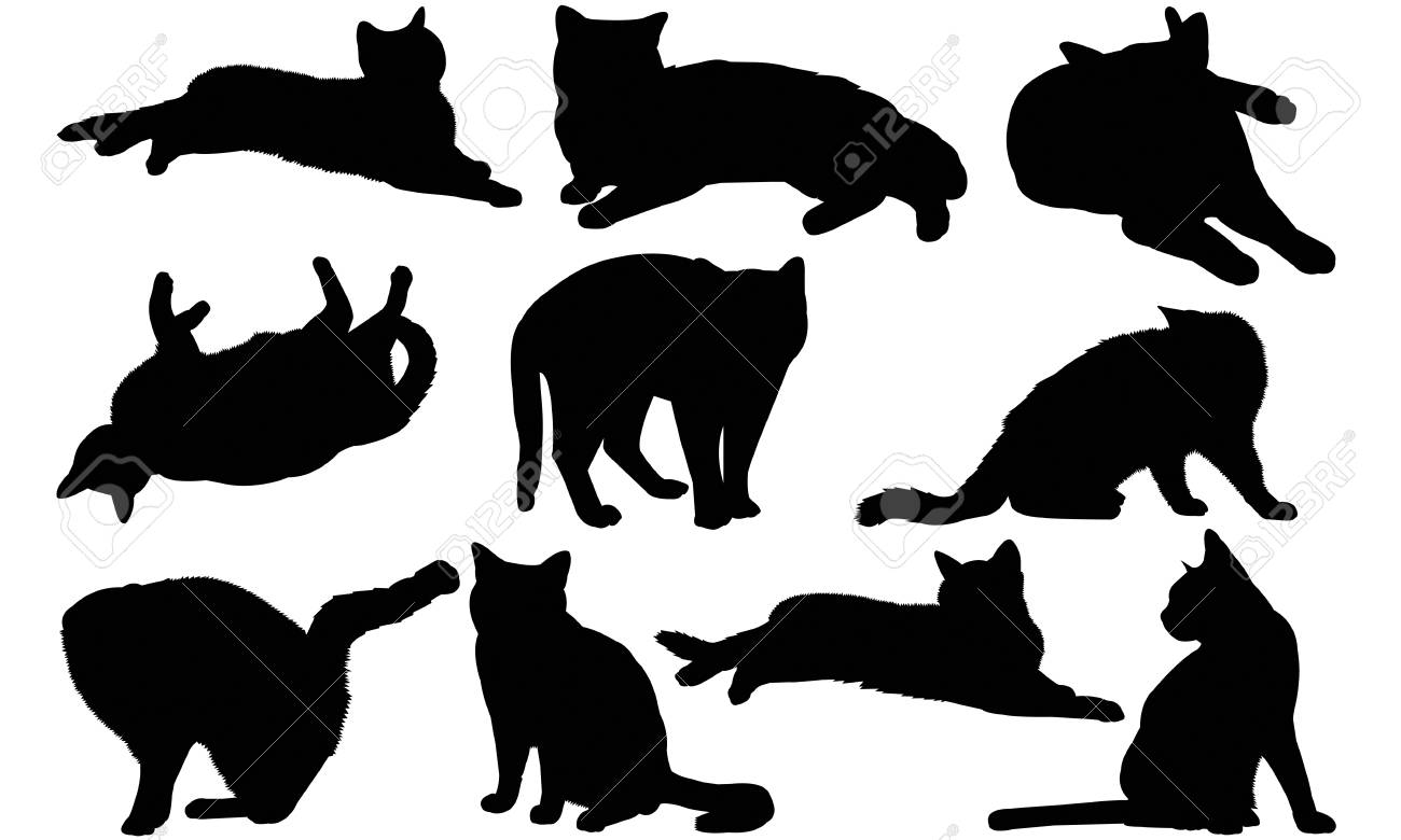 American Shorthair Cat Silhouette Illustration Royalty Free