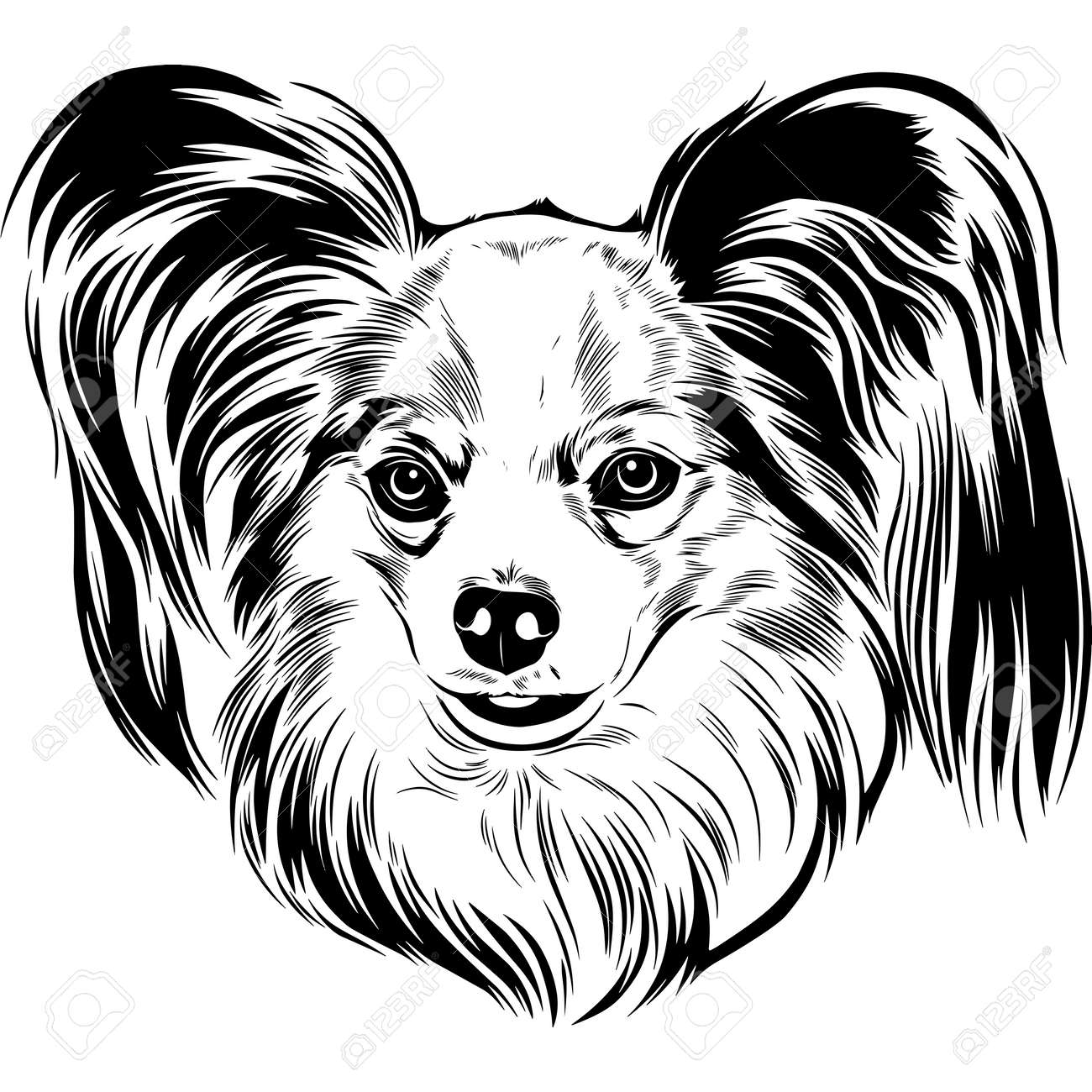 パピヨン アート・グラフィック 【公式通販】