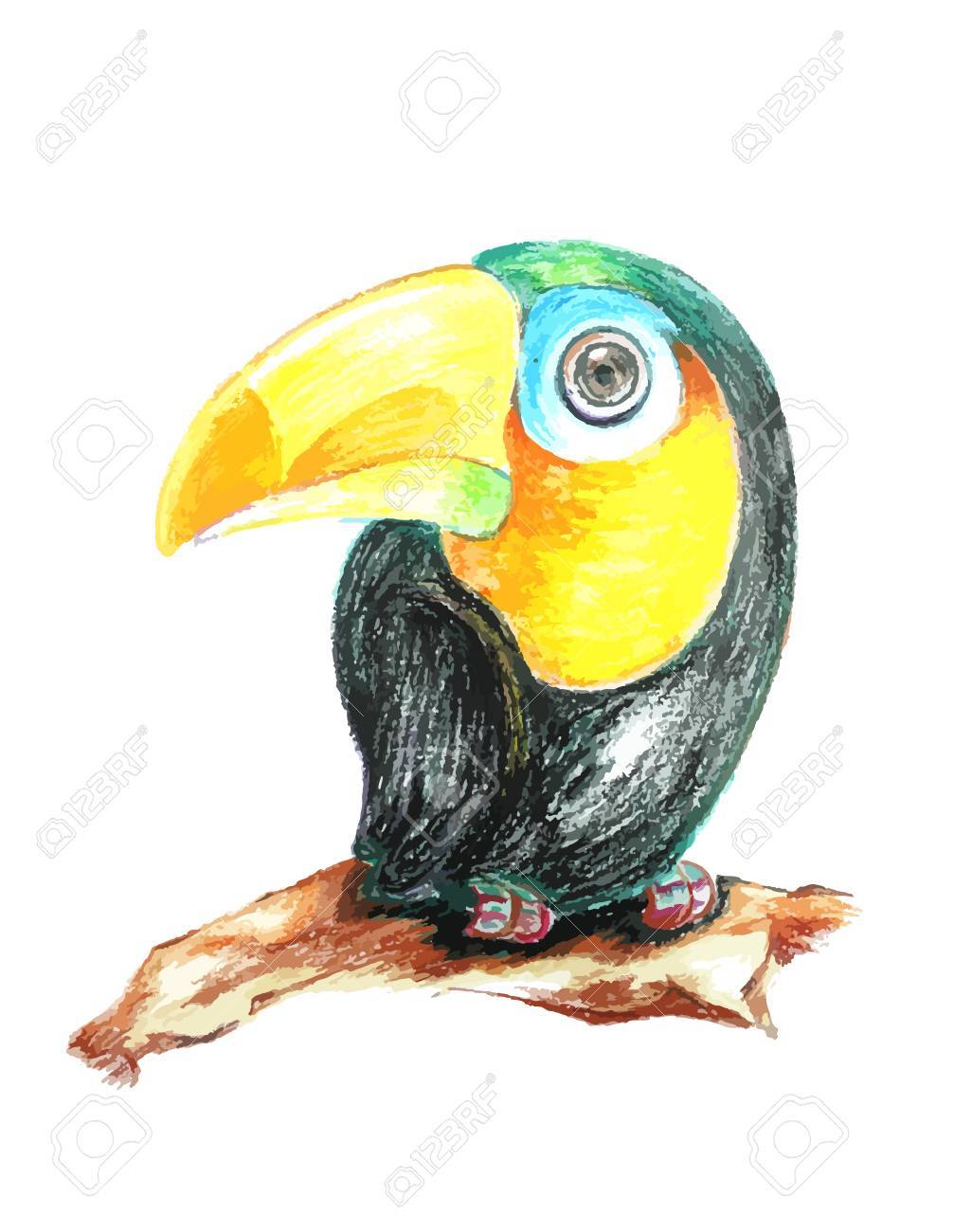 お礼や感謝伝えるプチギフト 油絵風絵画 情熱のオウム タイハクオウムイラスト 他の Vehicleadminservices Com お礼や感謝伝えるプチギフト 油絵風絵画 情熱のオウム タイハクオウムイラスト 他の Vehicleadminservices Com