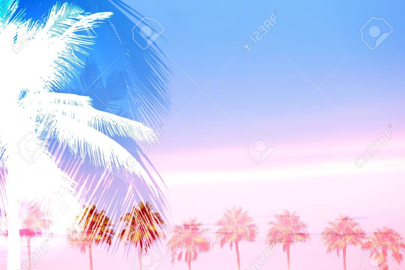A Montage Of Tropical Palm Trees Over A Sunset Sky With Plenty Stock Photo Picture And Royalty Free Image Image 21735782