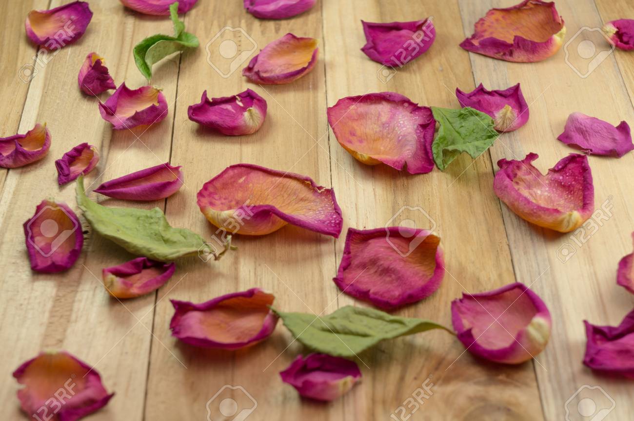 木の地面にバラの花びらを乾燥 の写真素材 画像素材 Image