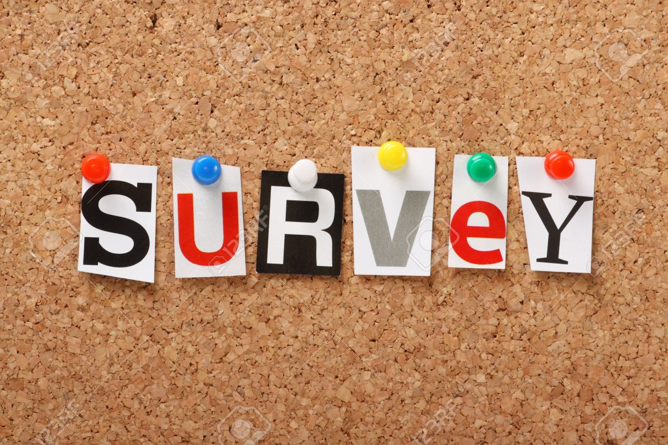 the word survey in cut out magazine letters pinned to a cork stock survey word