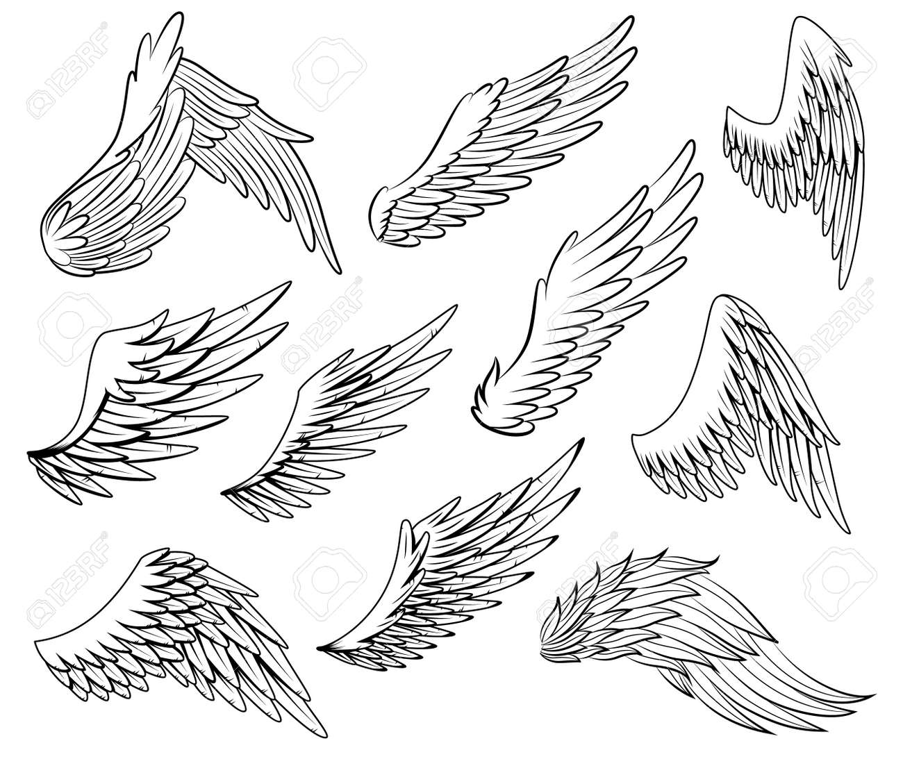 Coleção de esboço de asas heráldicas vintage. asas de pássaros monocromáticas estilizadas. asa de stiker contornada desenhada à mão em posição aberta. elementos de design em estilo de coloração - 167532458 Coleção de esboço de asas heráldicas vintage. asas de pássaros monocromáticas estilizadas. asa de stiker contornada desenhada à mão em posição aberta. elementos de design em estilo de coloração - 167532458