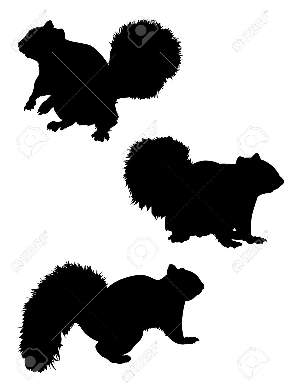 Squirrel Silhouette Images Stock Pictures Royalty Free Squirrel - Squirrel Silhouette Vector Squirrel Silhouette squirrel silhouette images stock pictures royalty free squirrel - squirrel silhouette vector squirrel silhouette