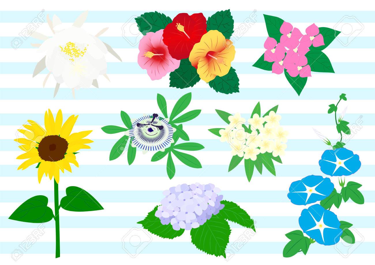 夏に咲く花のセット のイラスト素材 ベクタ Image