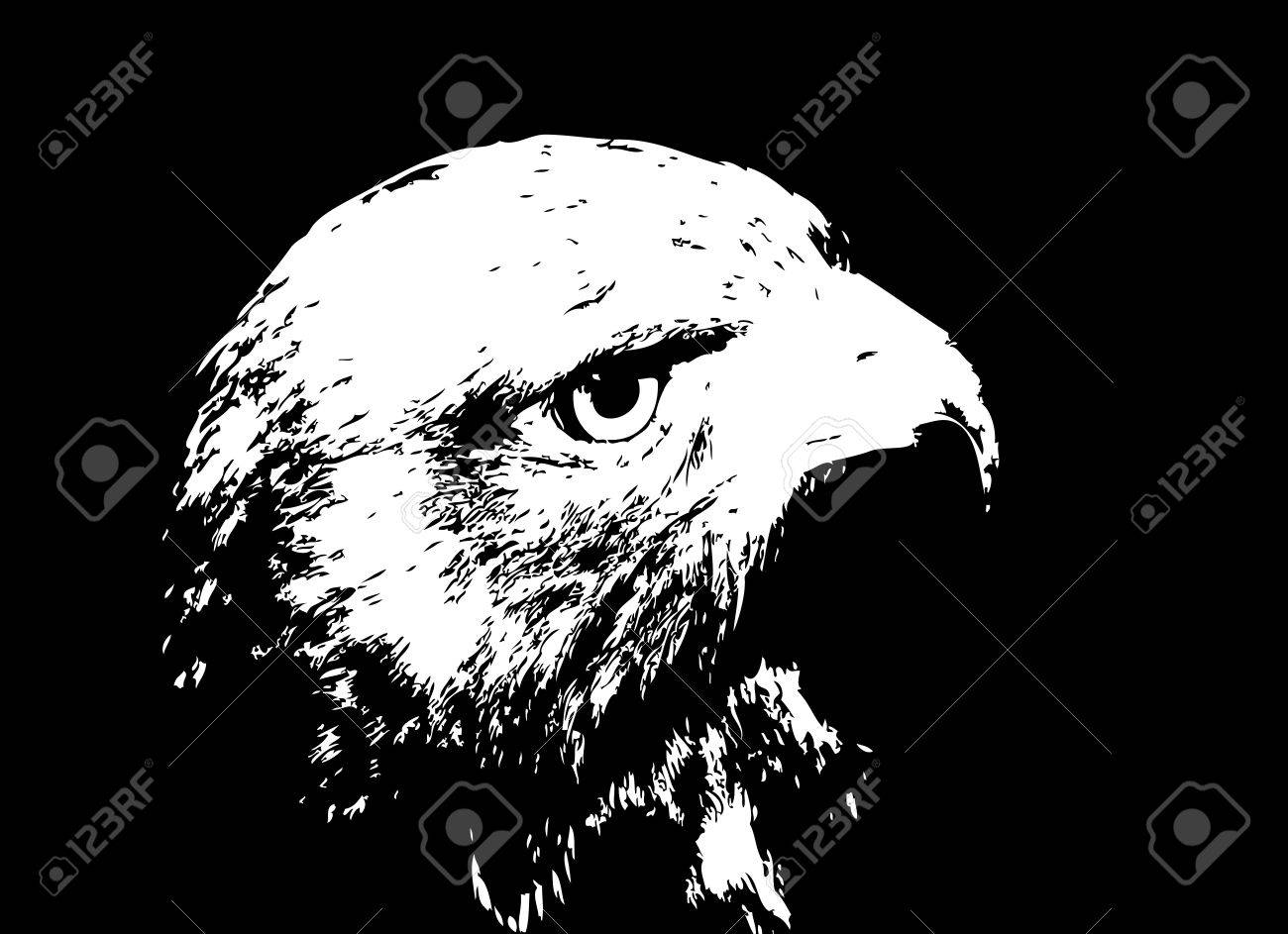 漫画ブラック ホークのシルエットのベクター イラスト のイラスト素材 ベクタ Image