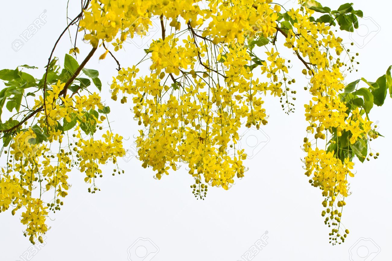 Marge and bart simpson hentai Ashland gorse nude