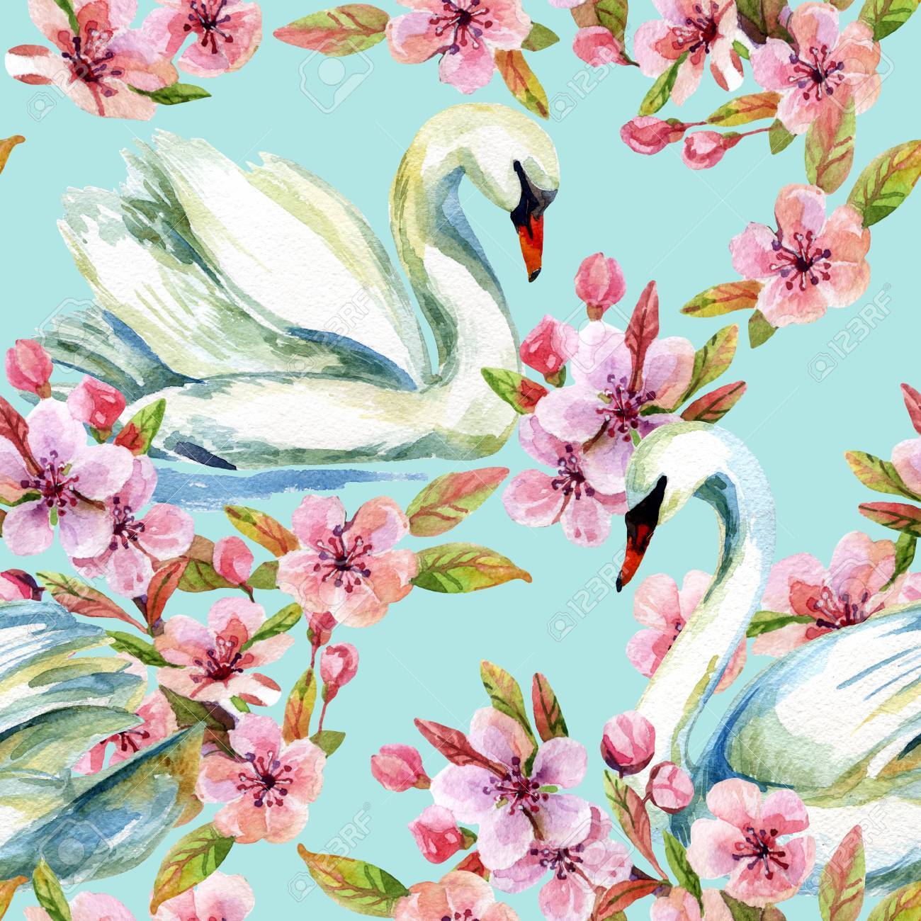 水彩スワンと桜満開 花のシームレスなパターンの中で泳いでいる鳥 手描きの青い背景のイラスト の写真素材 画像素材 Image
