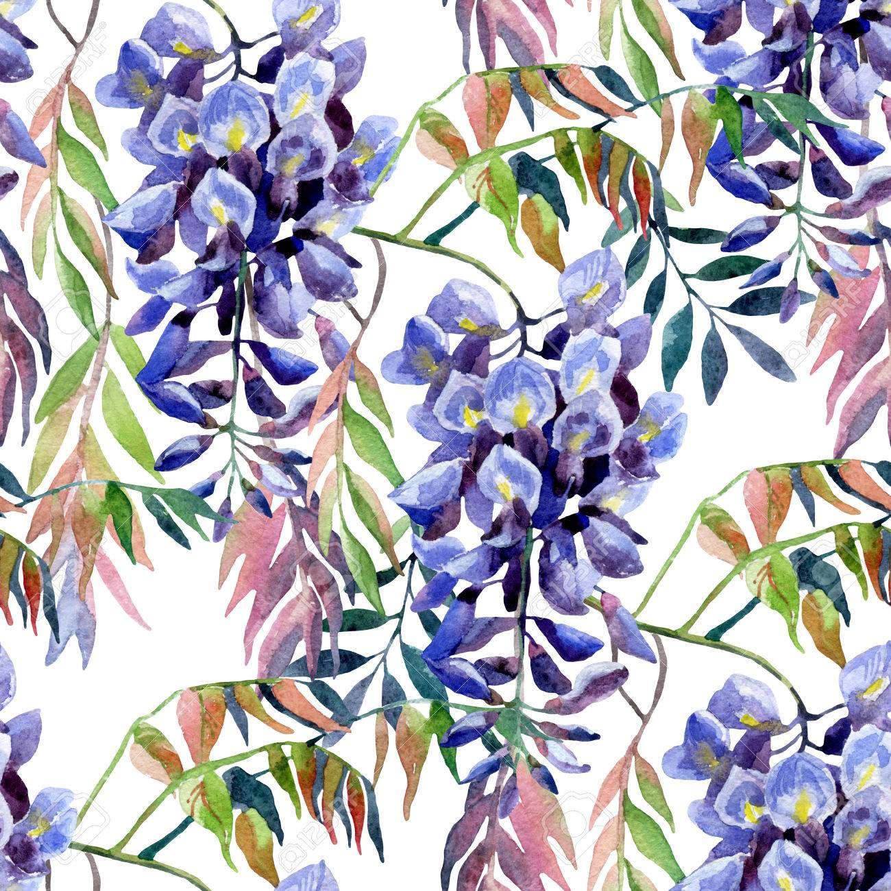 藤の花 水彩藤シームレス パターン 手描きの白い背景の上の図 の写真素材 画像素材 Image