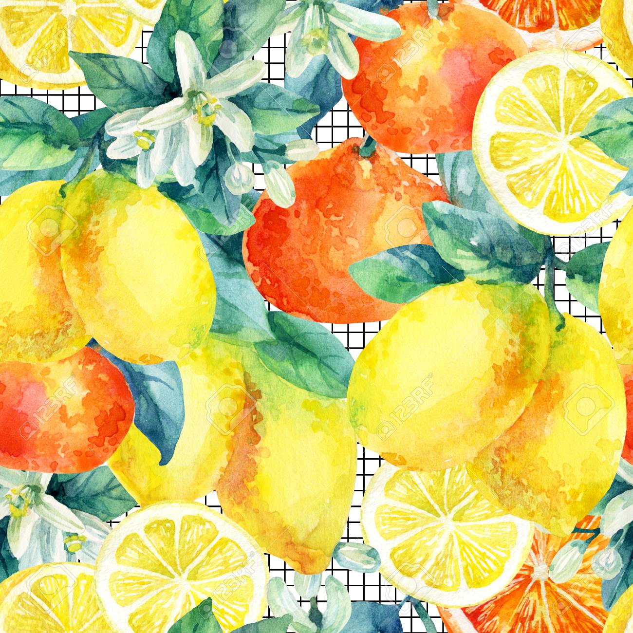 最高みかん 花 すべての美しい花の画像 最高みかん 花 すべての美しい花の画像