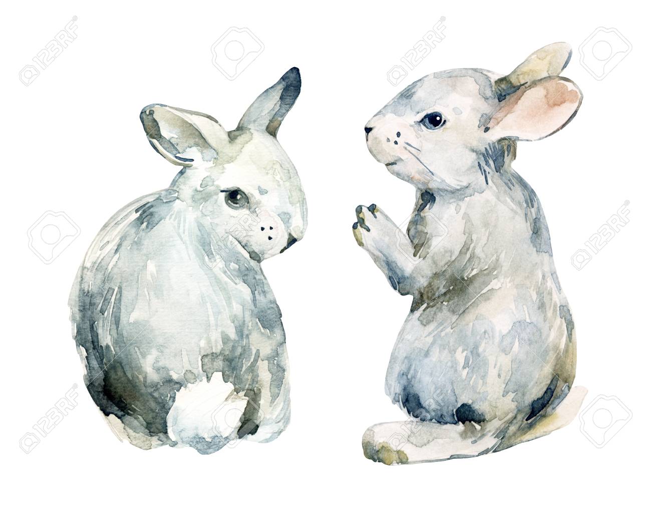 Jeu De Lapin Gris Aquarelle Isole Sur Fond Blanc Aquarelle Mignon Bebe Lapin Illustration Peinte A La Main Pour Un Design Enfantin Banque D Images Et Photos Libres De Droits Image