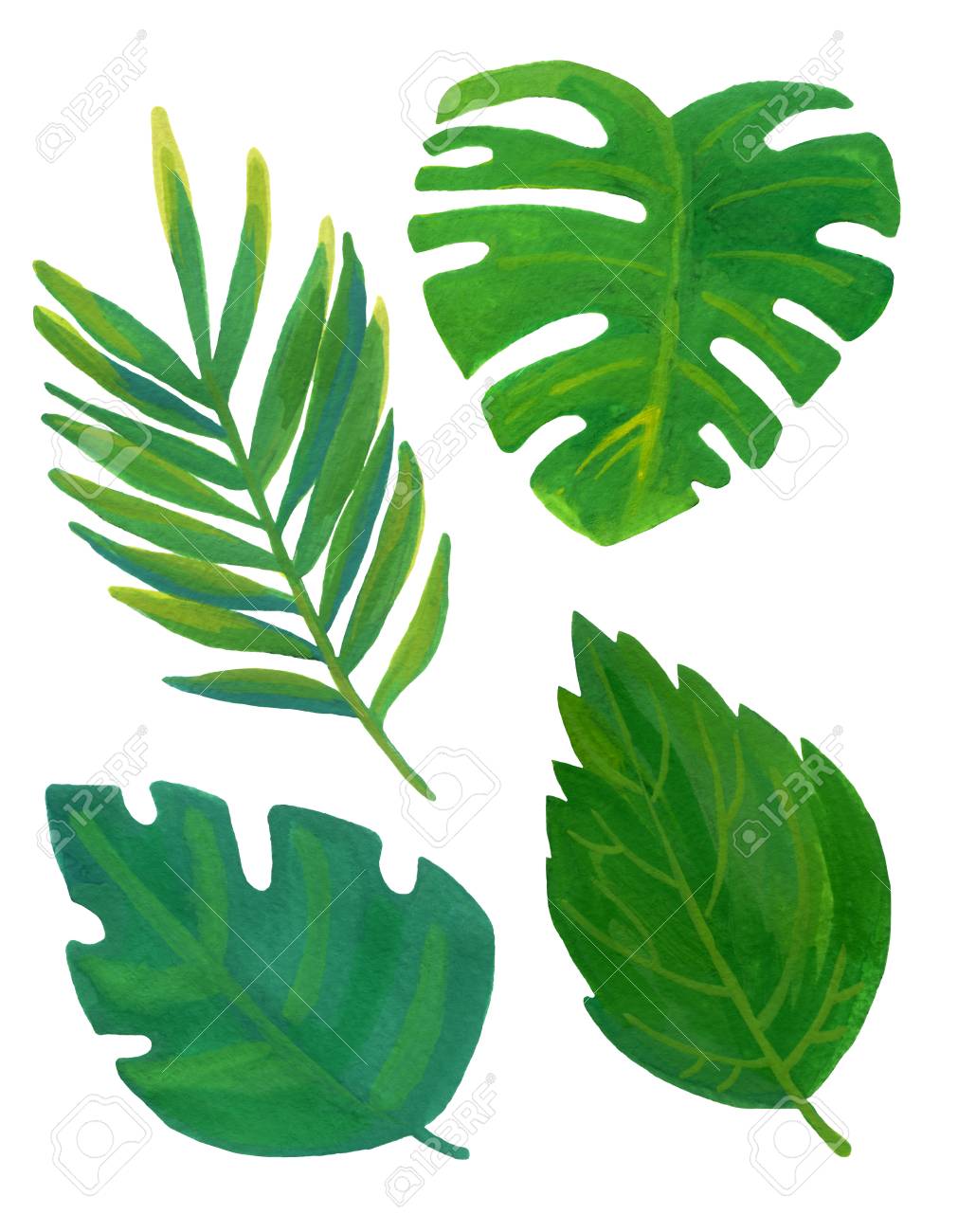 four tropical leaves hand