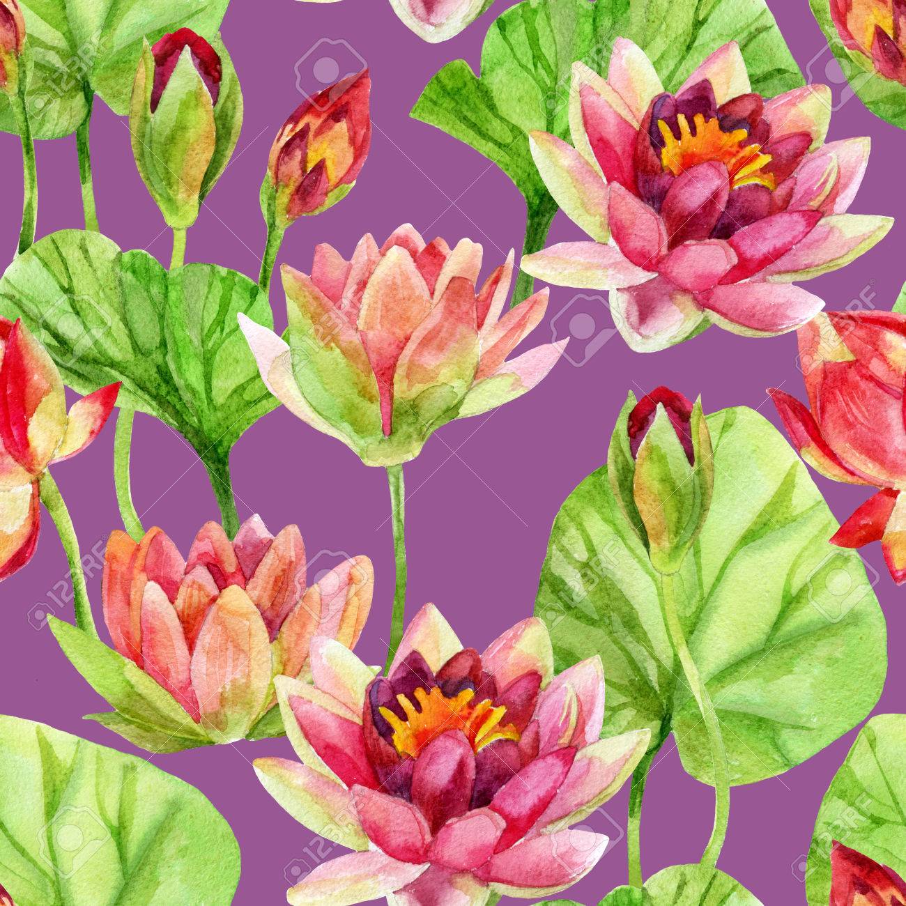 手描きの蓮の花の模様 水彩イラスト の写真素材 画像素材 Image