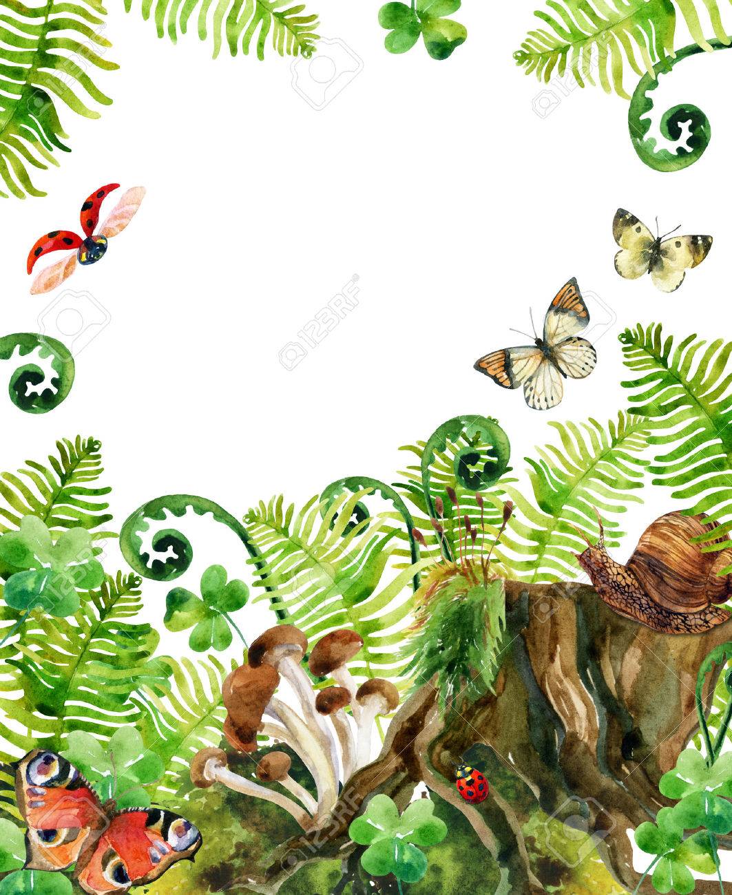フォレスト水彩背景 森の切り株 キノコ 葉 苔 てんとう虫 蝶 水彩の自然林生活カード 手描きの森林野生動物イラスト の写真素材 画像素材 Image