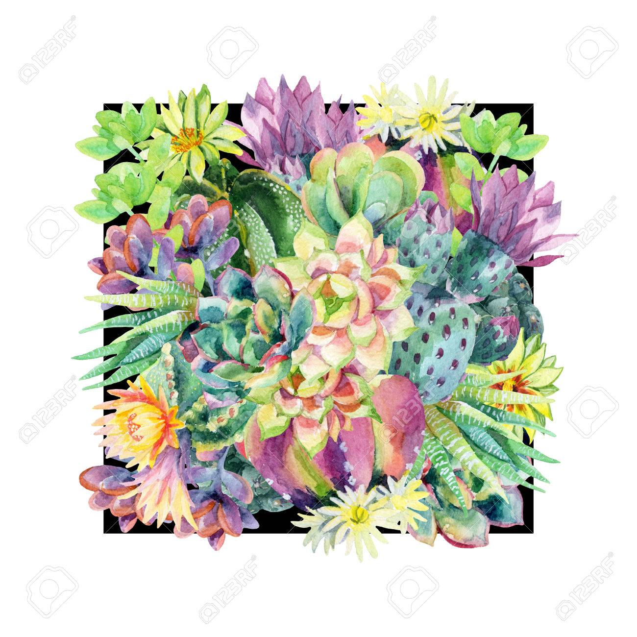 水彩咲くサボテンの背景 花とエキゾチックなサボテン 多肉植物とサボテン ブラック フレームで 手描きの T シャツ 招待状 花のデザインの水彩画の イラスト の写真素材 画像素材 Image