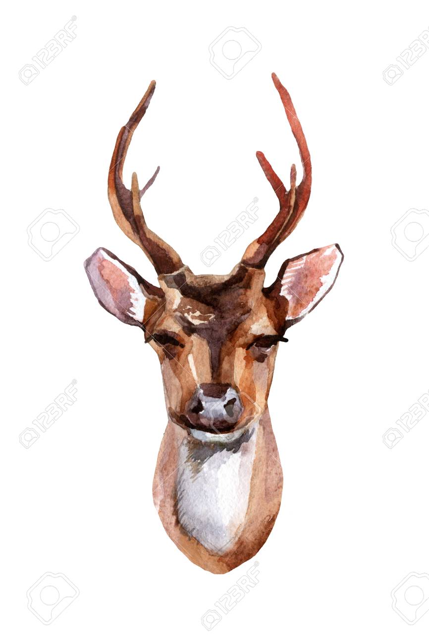 deer head painting