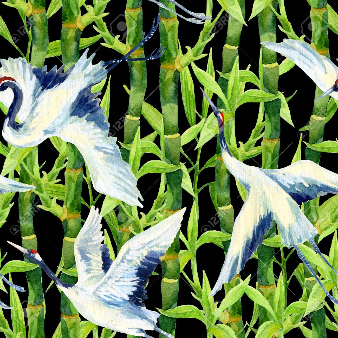 鶴鳥の背景 水彩アジア クレーン鳥シームレス パターン 手描きの黒い背景に竹図 の写真素材 画像素材 Image