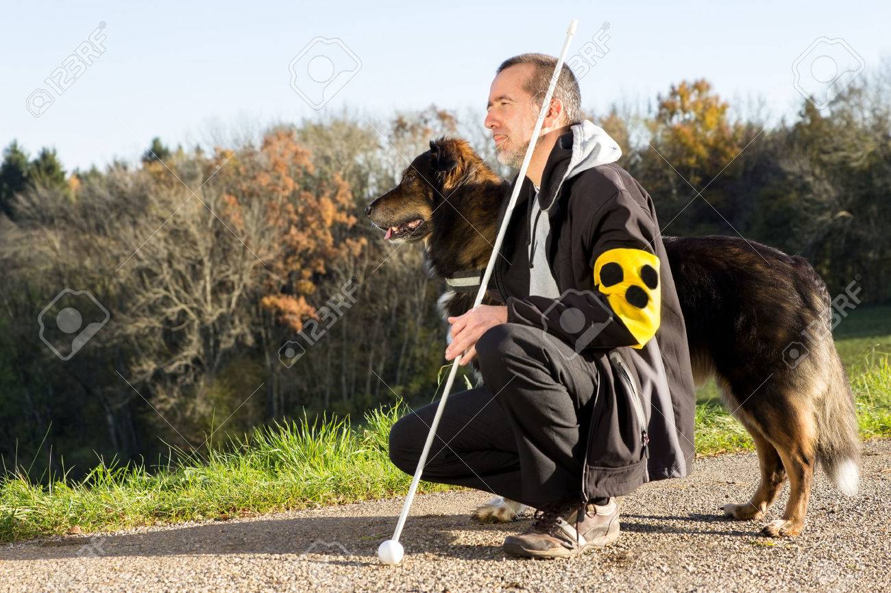 A blind man on a walk with his assistance dog - 35704264 A blind man on a walk with his assistance dog - 35704264