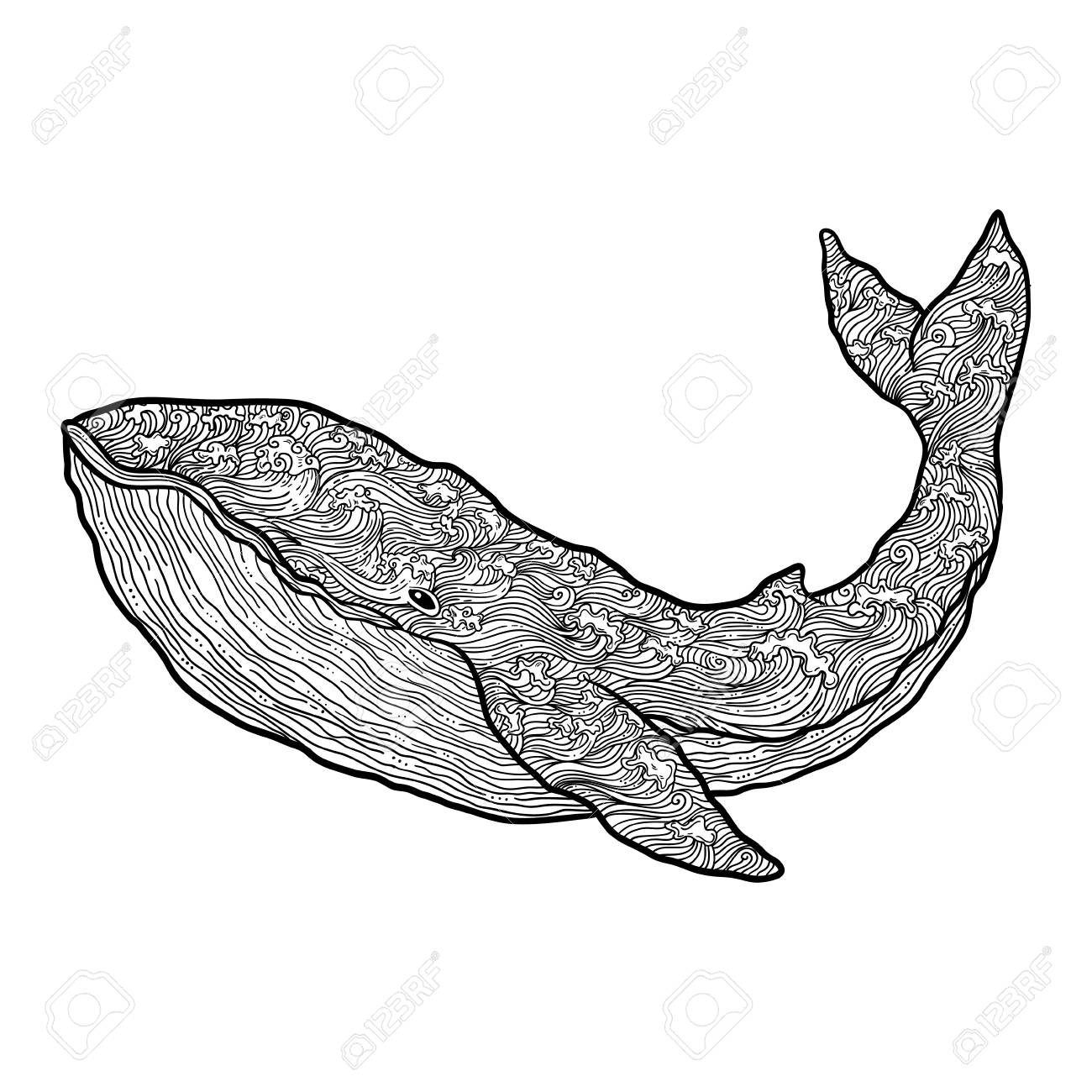 hand drawn vector outline whale illustration multicolored decorative ornamental whale drawing with waves and curls - Whale Outline hand drawn vector outline whale illustration multicolored decorative ornamental whale drawing with waves and curls - Whale Outline