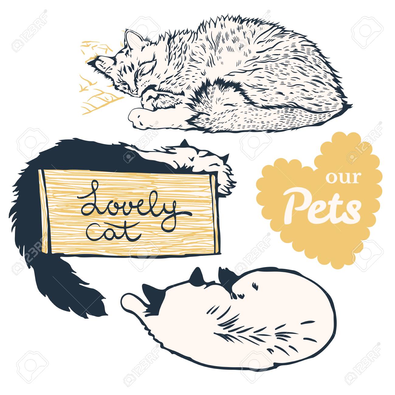 子猫の手描きイラスト。。 猫の手のかわいさときたら！ (白手袋も好き♡) #本日の猫 #水彩画 #猫