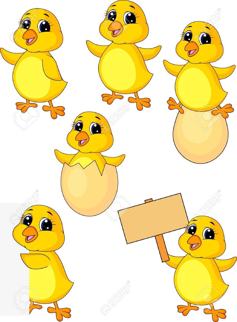 Baby chicken cartoon best sale