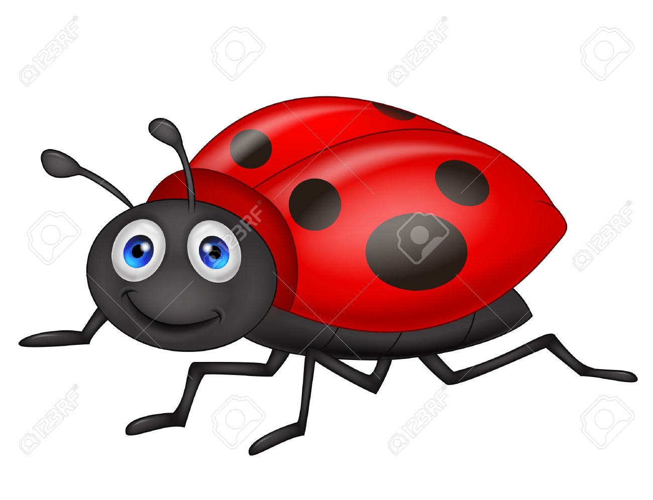 ladybug stock photos royalty free ladybug images