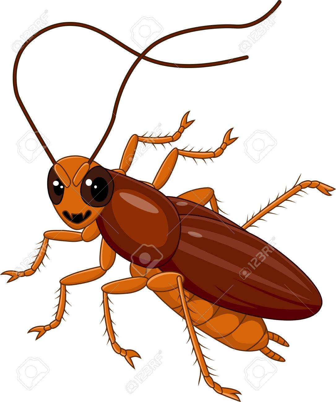 かわいいゴキブリが白い背景で隔離のベクトル イラスト のイラスト素材 ベクタ Image