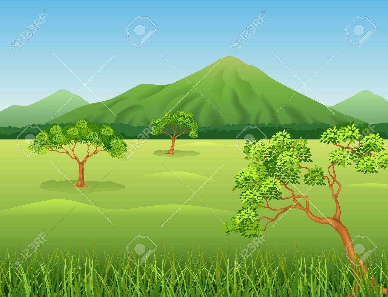 美しいジャングルの背景のベクトル イラスト のイラスト素材 ベクタ Image