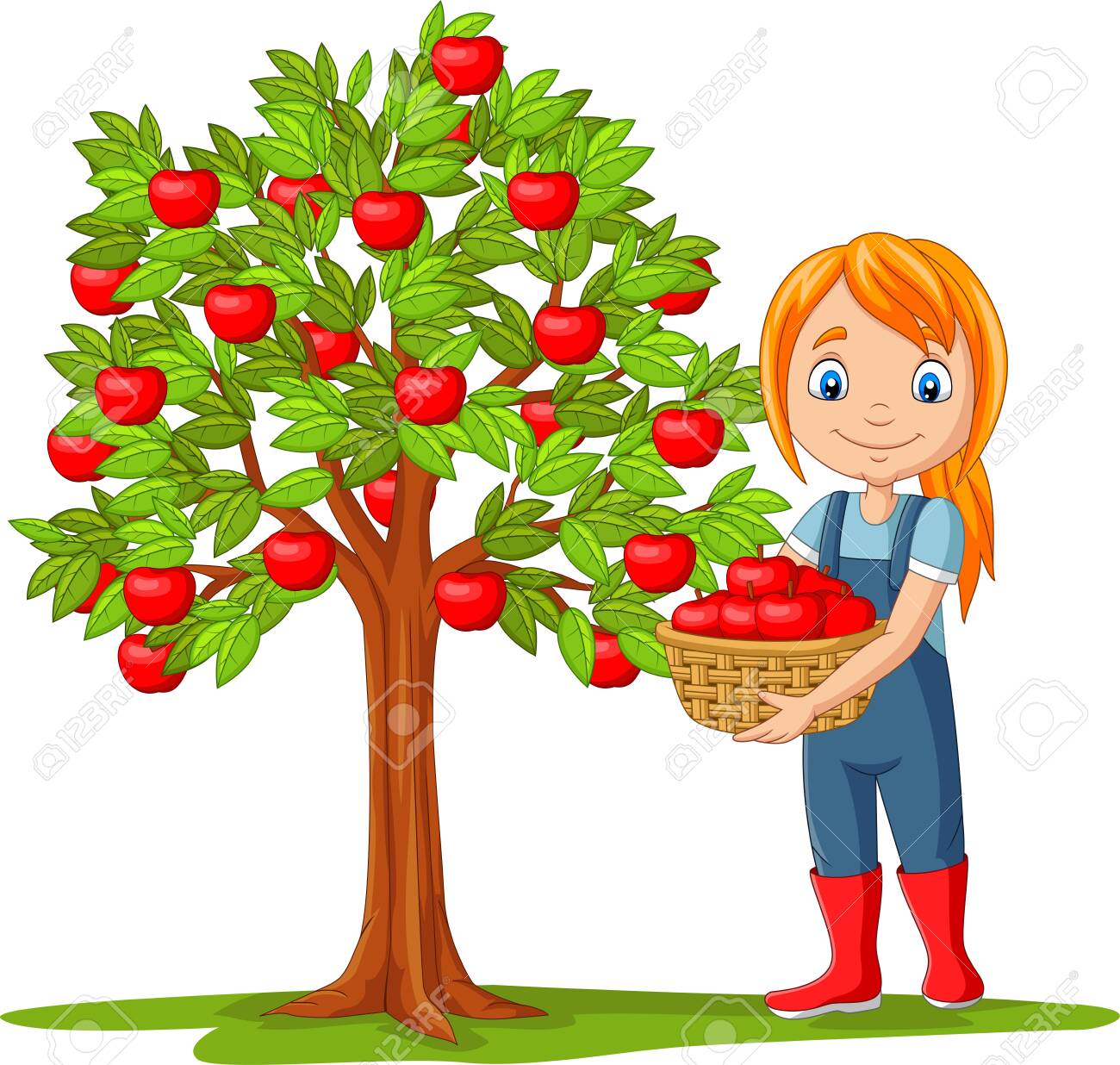Vector Illustration Of Girl Farmer Gathering Apples In Basket Royalty Free Cliparts Vectors And Stock Illustration Image Vector Illustration Of Girl Farmer Gathering Apples In Basket Royalty Free Cliparts Vectors And Stock Illustration Image