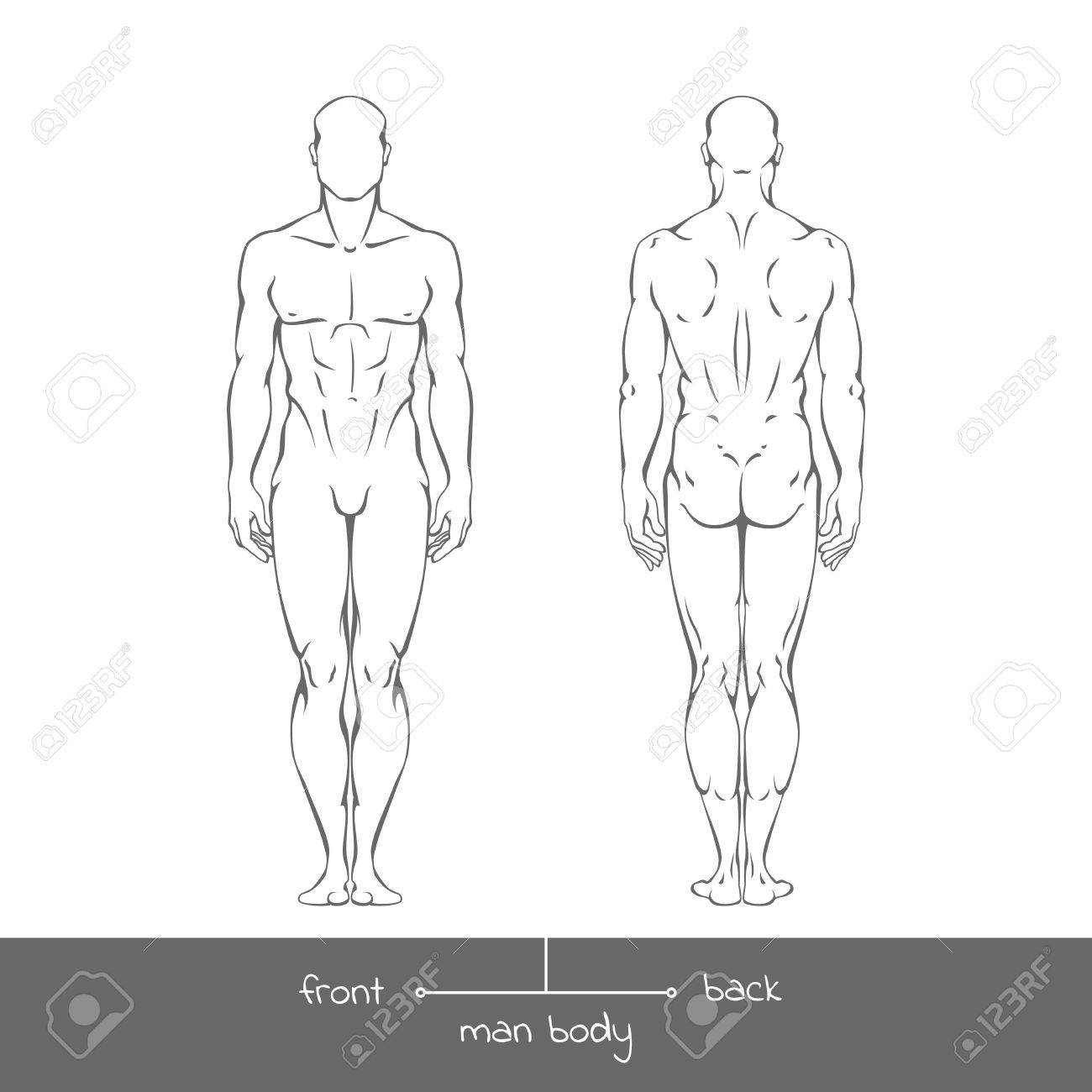 アウトライン スタイルの前面と背面のビューからの健康的な若い男 男性の筋肉体図形碑文と線形図 前面し 背面します のイラスト素材 ベクタ Image アウトライン スタイルの前面と背面のビューからの健康的な若い男 男性の筋肉体図形碑文と線形図 前面し 背面します のイラスト素材 ベクタ Image