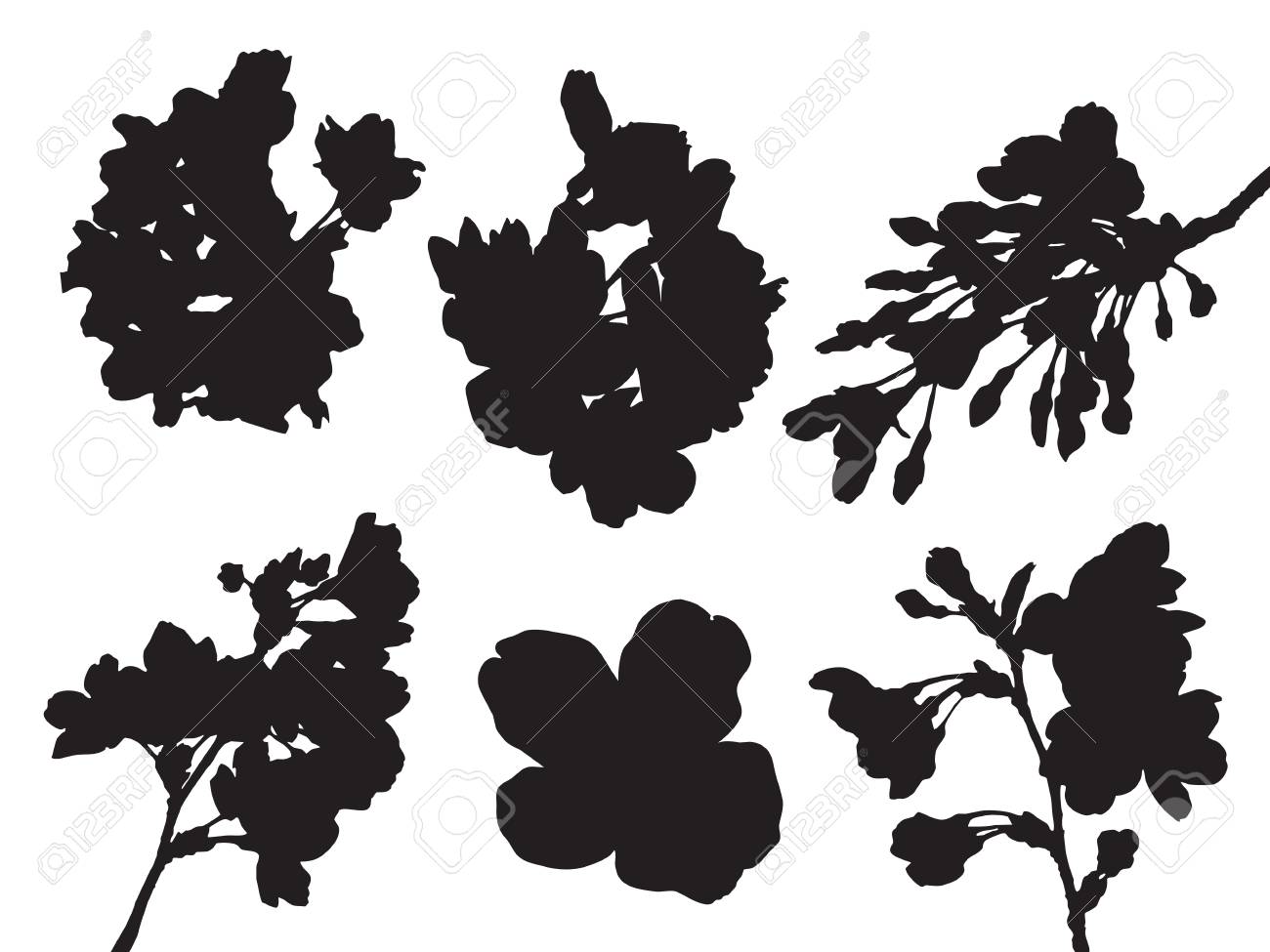 満開さくら花ツリー孤立した楕円形の境界線黒日本フローラ ブッシュ ラウンド フレーム 白い背景の上の春花サークル支店です 桜の花びら葉シルエット ベクトルの梢 のイラスト素材 ベクタ Image