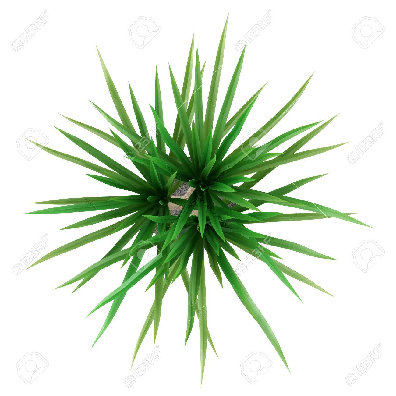 Kristina Kuzmina porno rasmlar Yalangoch Anastasiya Gulimova