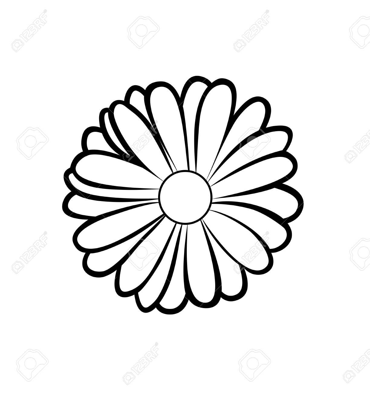 Vector Illustration Isolated Marigold Flower In Black And White Royalty Free Cliparts Vectors And Stock Illustration Image