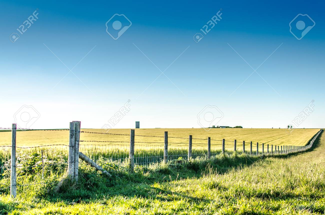 linear perspective of a countryside fence through rural heartland