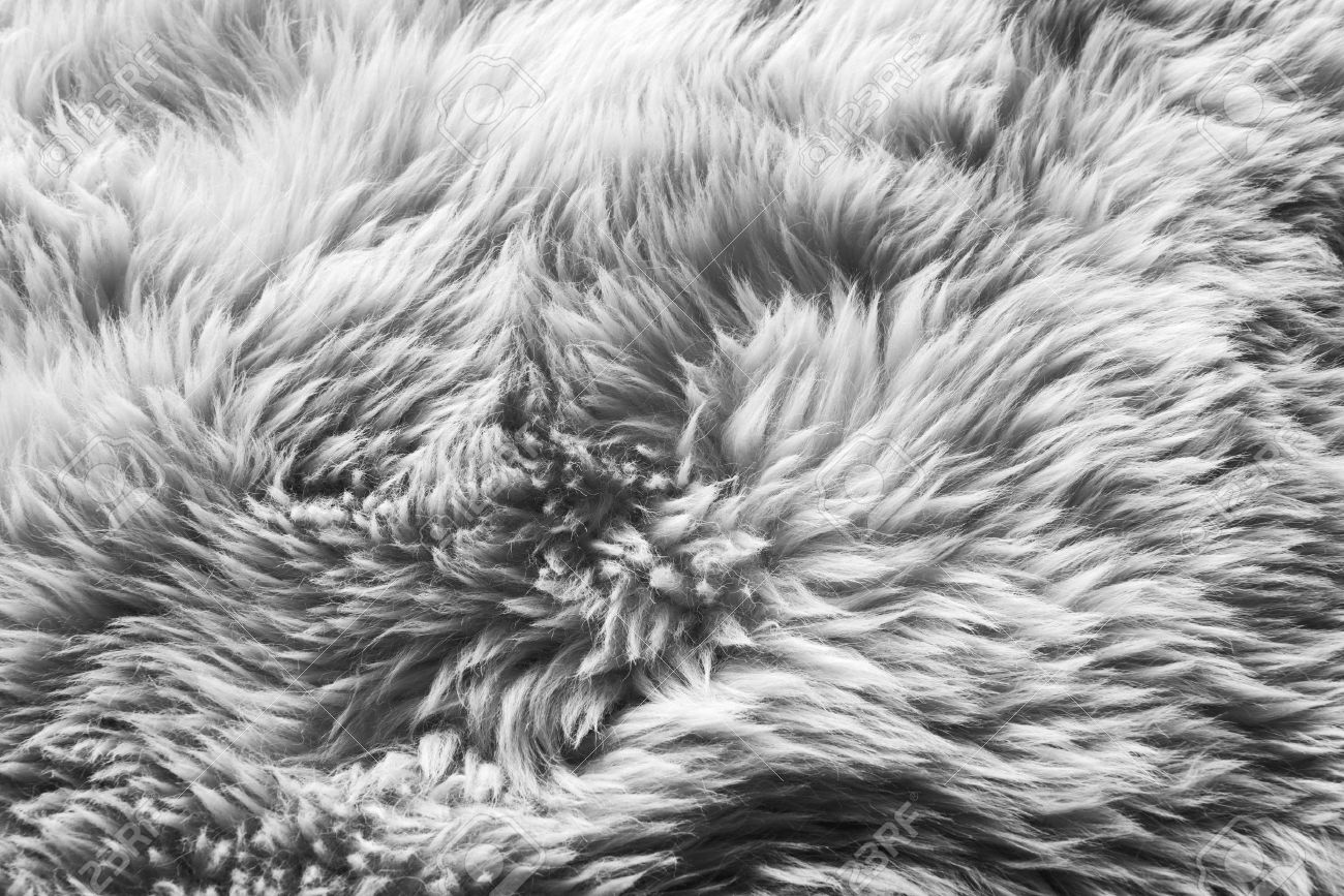 white fur rug texture high resolution luxurious wool texture from white sheepskin rug in black and stock photo 37620120 wool texture from white sheepskin rug in black and white fur rug texture high resolution luxurious wool texture from white sheepskin rug in black and stock photo 37620120 wool texture from white sheepskin rug in black and
