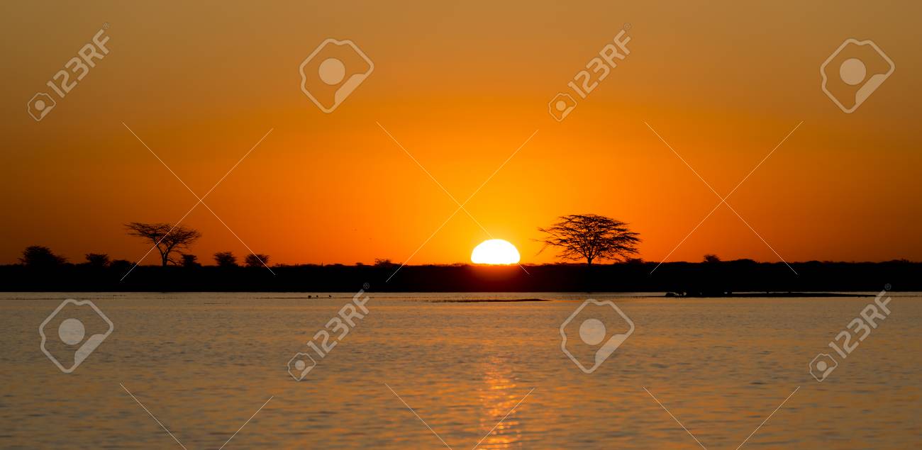 Coucher De Soleil Africain Classique Avec Grand Soleil Brûlant Sur Les Arbres Dacacia Et De Leau Au Botswana En Afrique