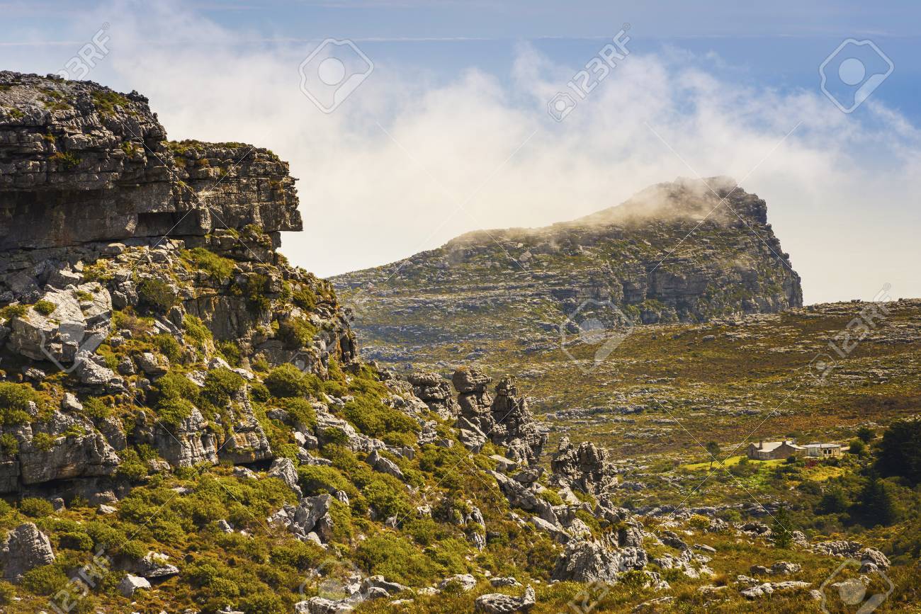 Landschaft Auf Dem Tafelberg In Kapstadt Sudafrika Lizenzfreie Fotos Bilder Und Stock Fotografie Image