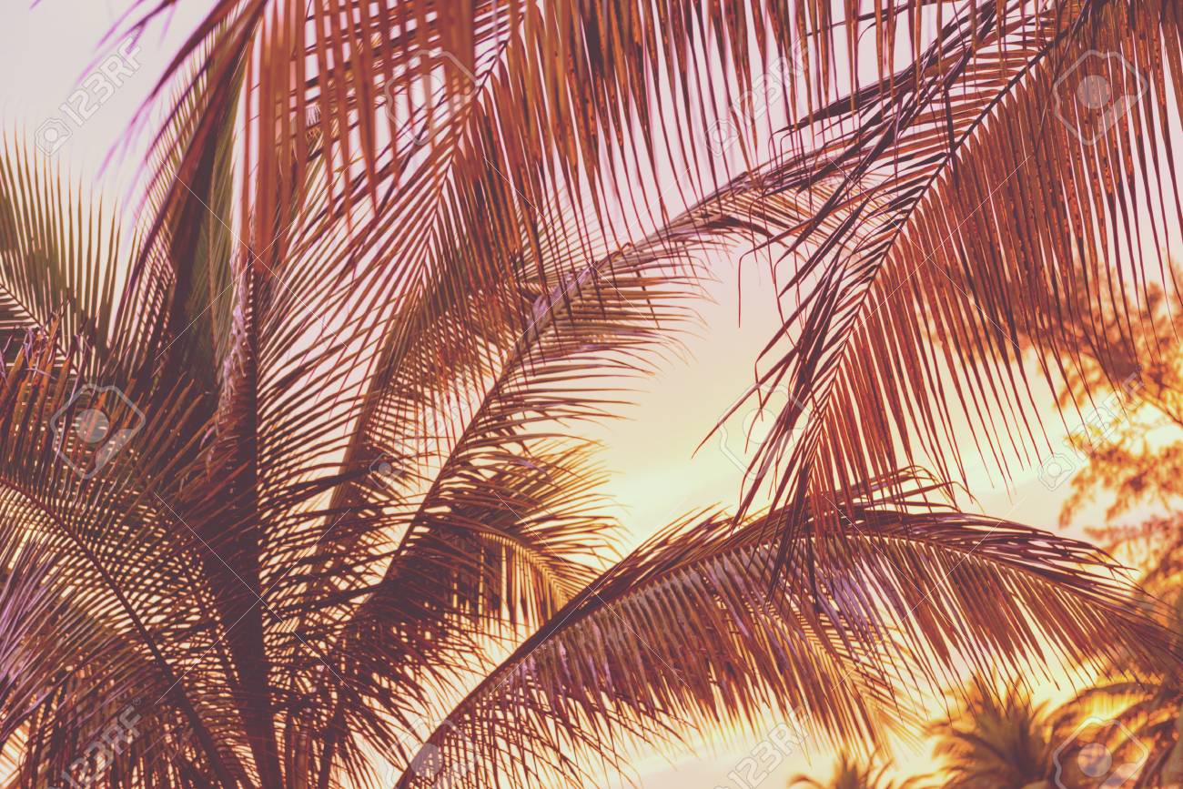 retroholiday