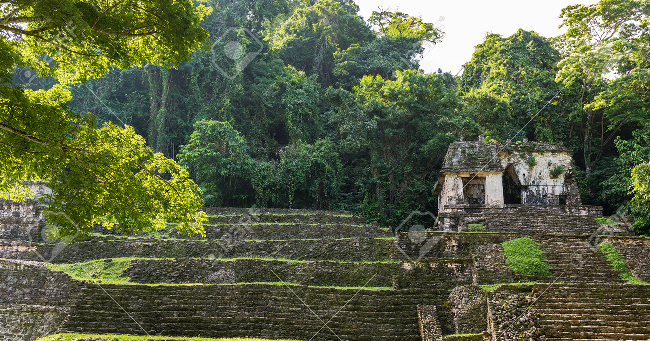 パレンケ メキシコ 11月29日 パレンケで16年11月29日に緑豊かなジャングルに囲まれた頭蓋骨の寺院の古代遺跡 パレンケは1987年にユネスコの世界遺産に登録されました の写真素材 画像素材 Image