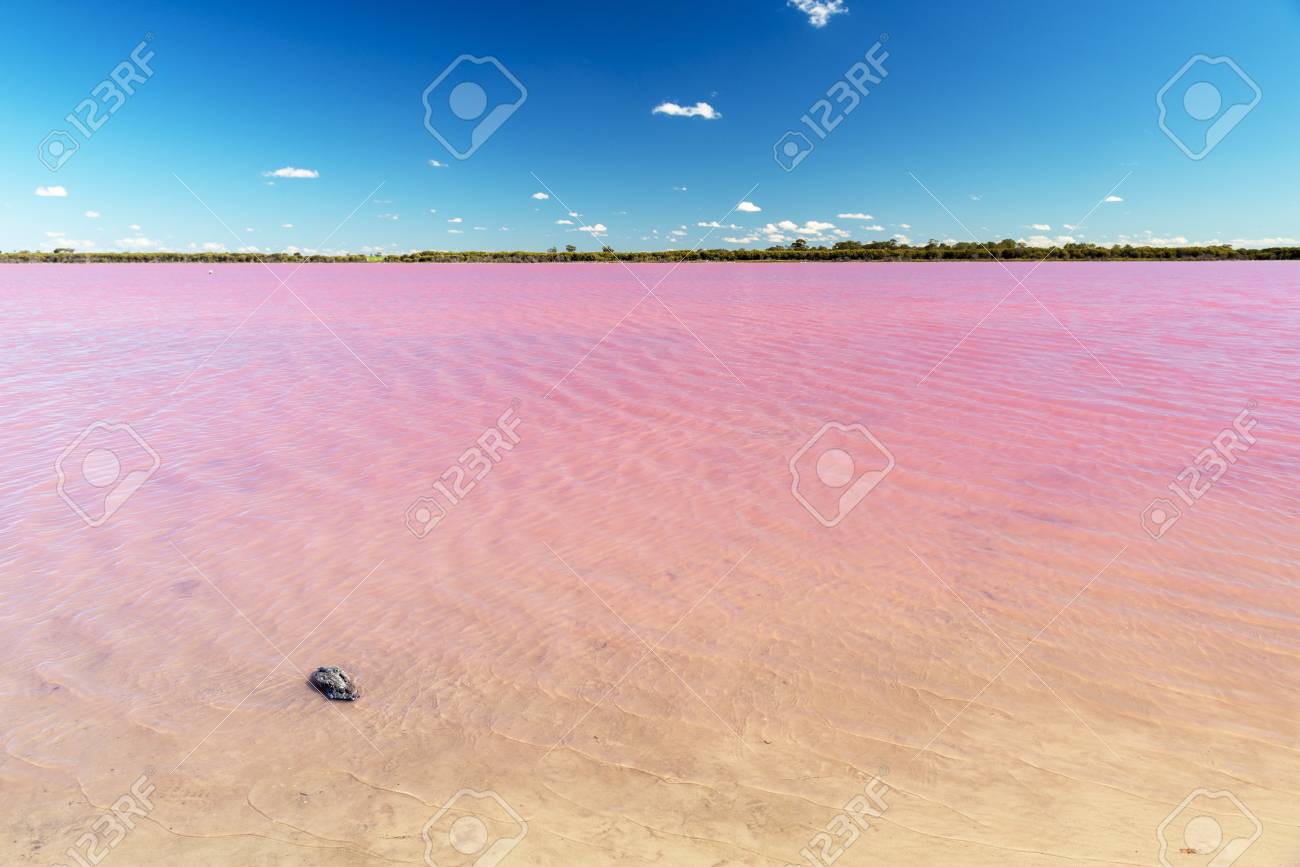 明るい青空の下でオーストラリアのビクトリア州ディンブーラ近くのピンク湖の写真素材・画像素材 Image 118716696