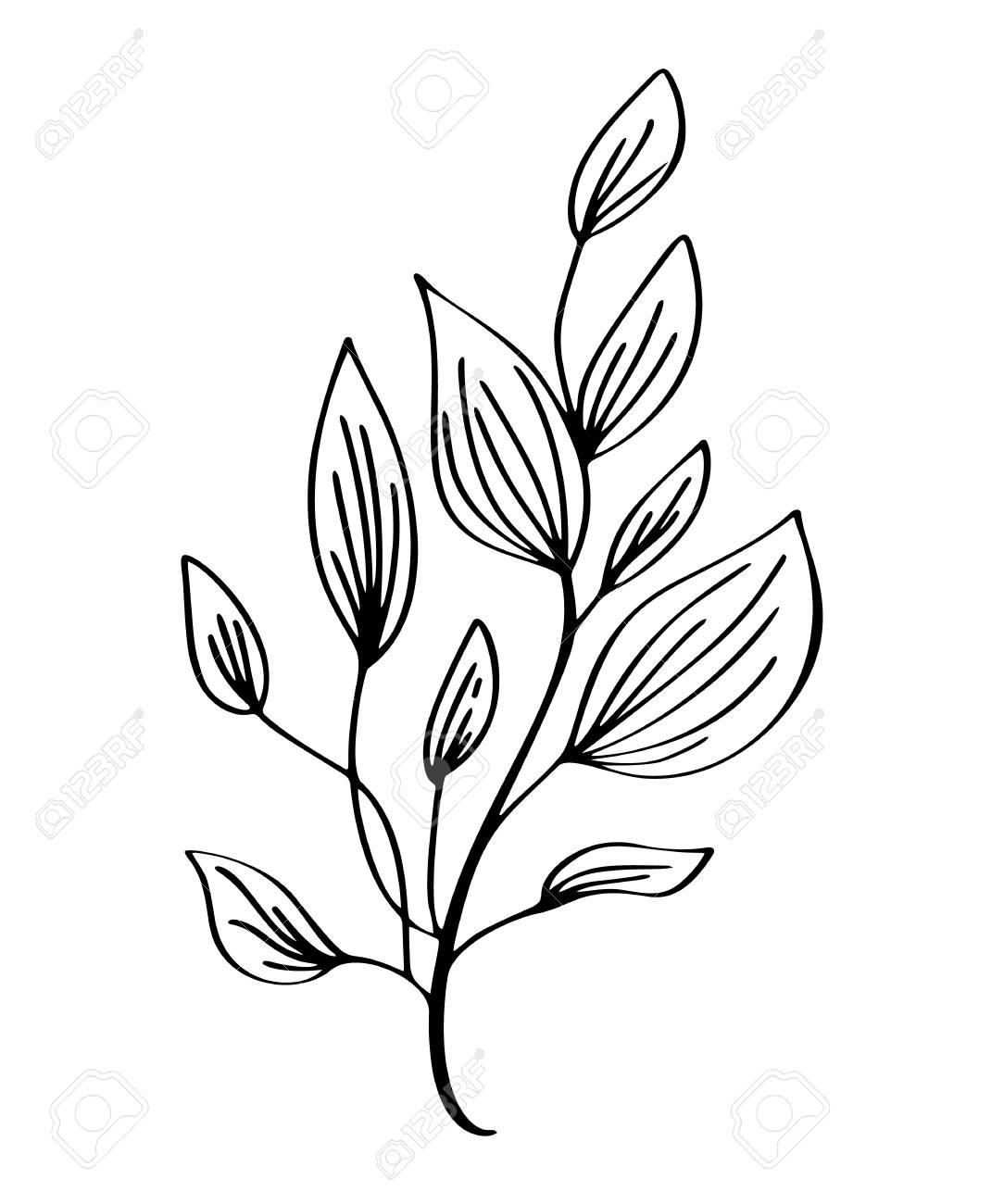 Hand Drawn Modern Flowers Drawing And Sketch Floral With Line-art, Vector  Illustration Wedding Design For T-shirts, Bags, For Posters, Greeting  Cards, Isolated On White Background Royalty Free SVG, Cliparts, Vectors,  And Stock