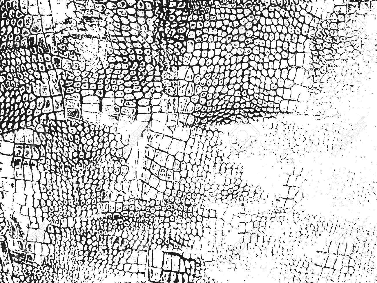 distressed texture distressed background