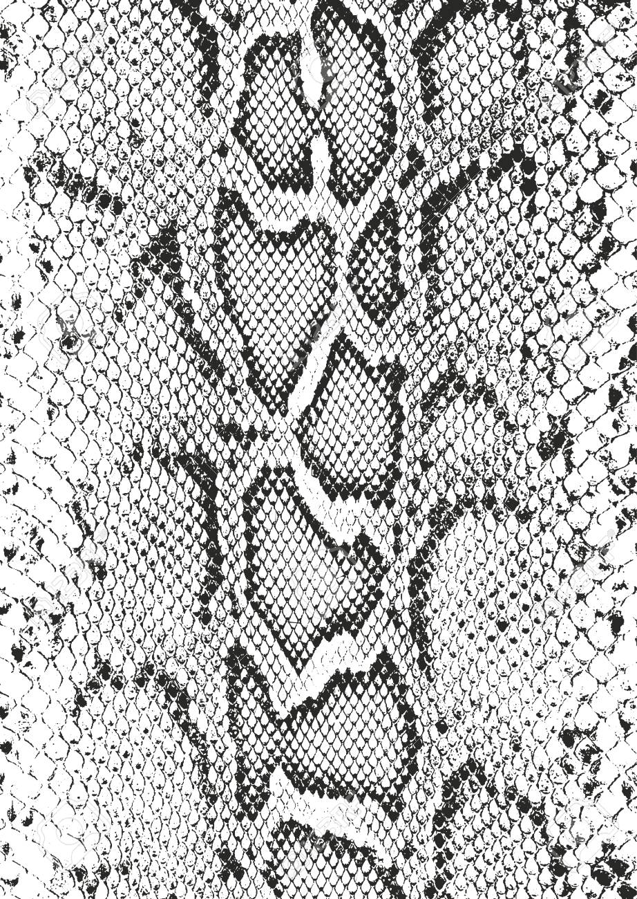 Distressed overlay texture of crocodile or snake skin leather, grunge vector background. - 98481908 Distressed overlay texture of crocodile or snake skin leather, grunge vector background. - 98481908