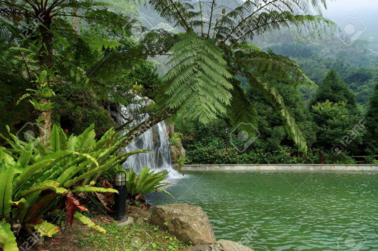 garden with tropical plants, having a waterfall through decorative garden with tropical plants, having a waterfall through decorative