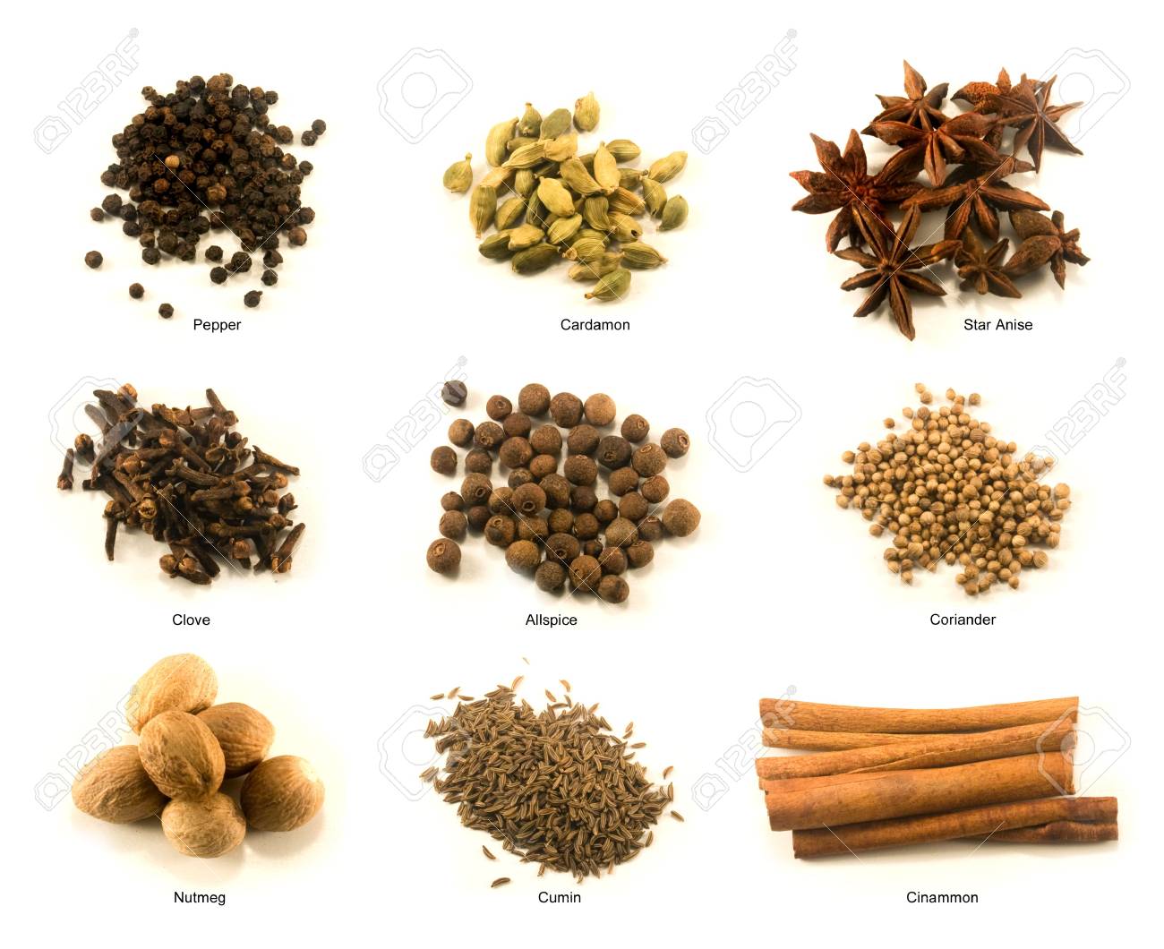 Chart Of Nine Common Spices With Name 