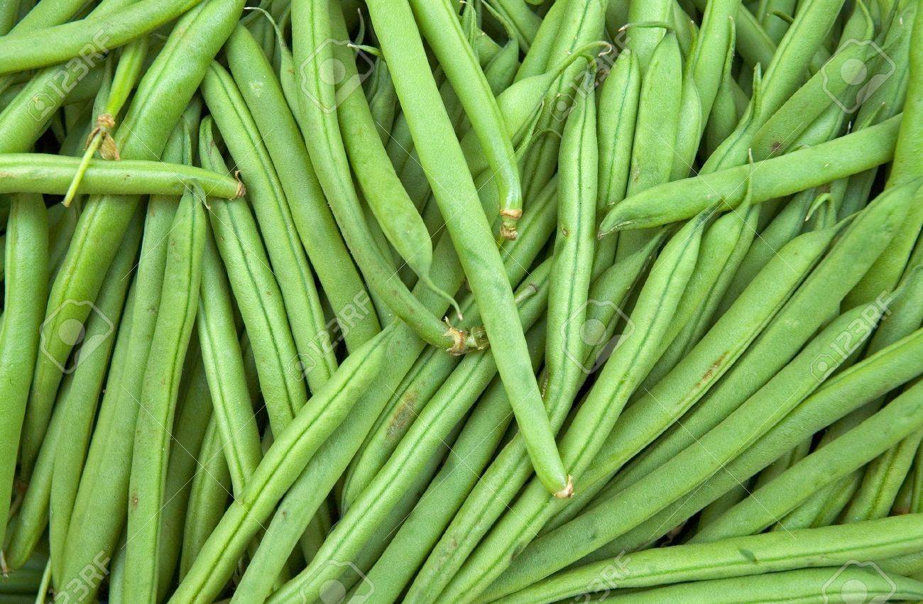 Fresh French Green Beans In Market Stock Photo Picture And Royalty Free Image Image