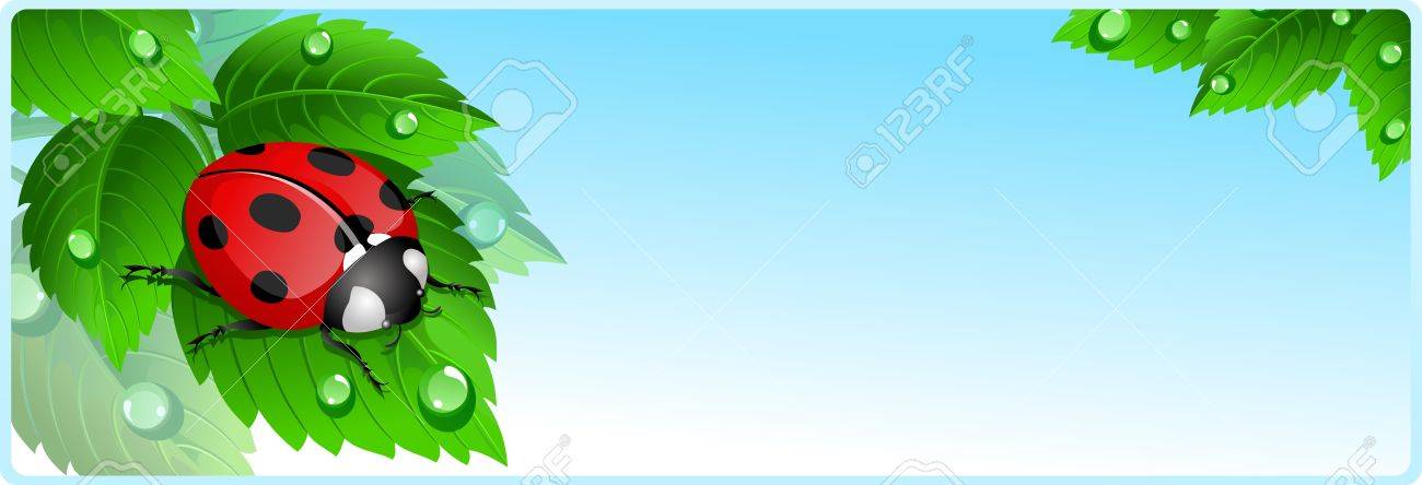 banner with ladybug royalty free cliparts vectors and stock