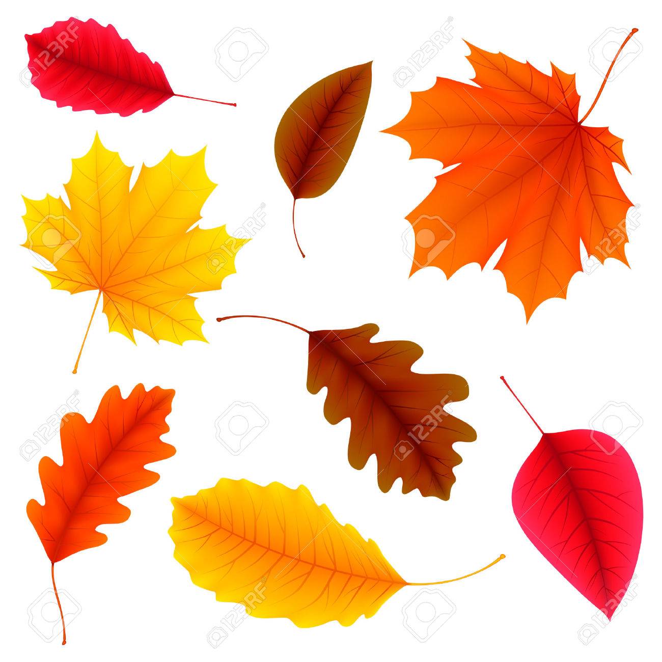 illustration of color autumn