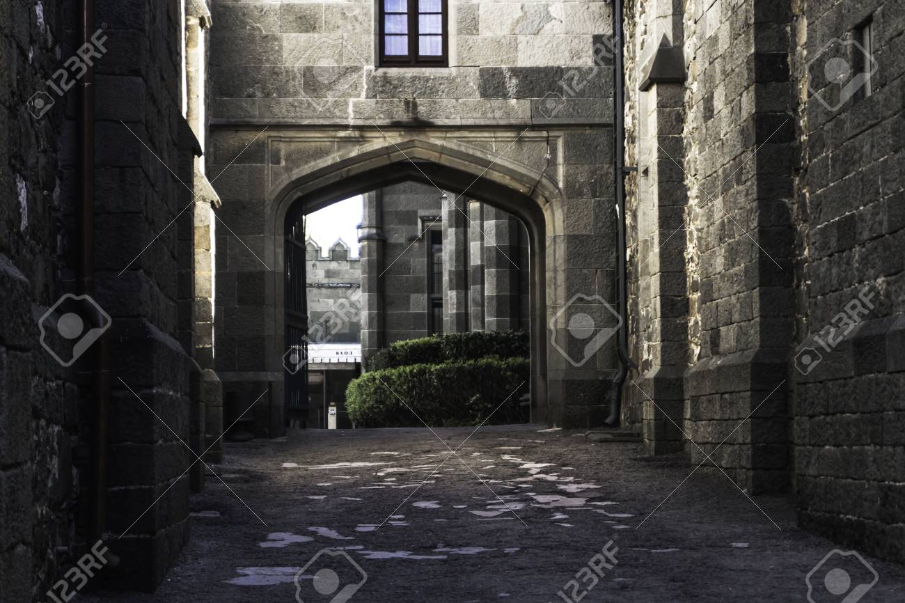 etiam-dictum-ipsum-a-felis