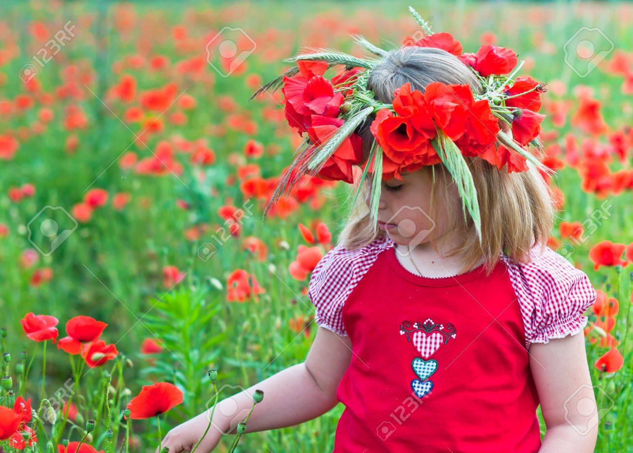 Little girl in a wreath from poppies - 20628152 Little girl in a wreath from poppies - 20628152